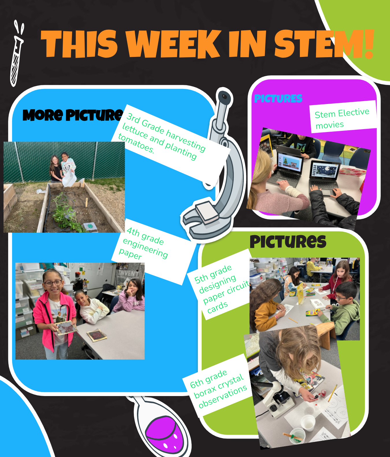stem 2